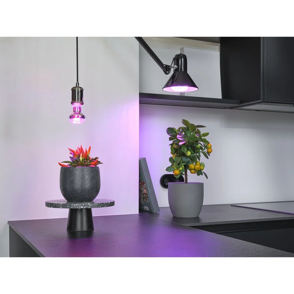 Lampa LED o specjalnym spektrumKolorów E27 7,5W 1300K 140lm - Image 4